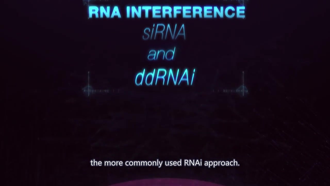 shRNA vs siRNA 短发夹RNA和小干扰RNA的区别哔哩哔哩bilibili