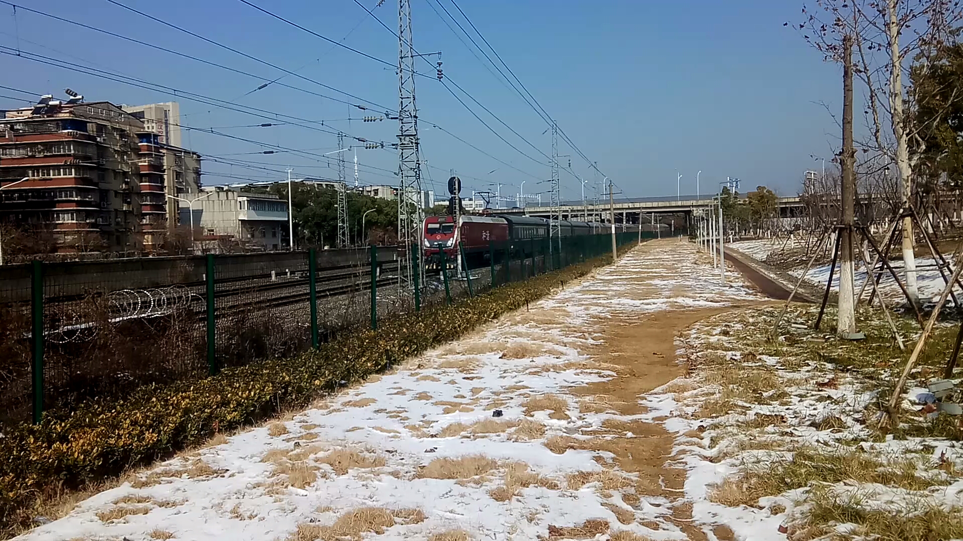 京广线拍车z294次列车