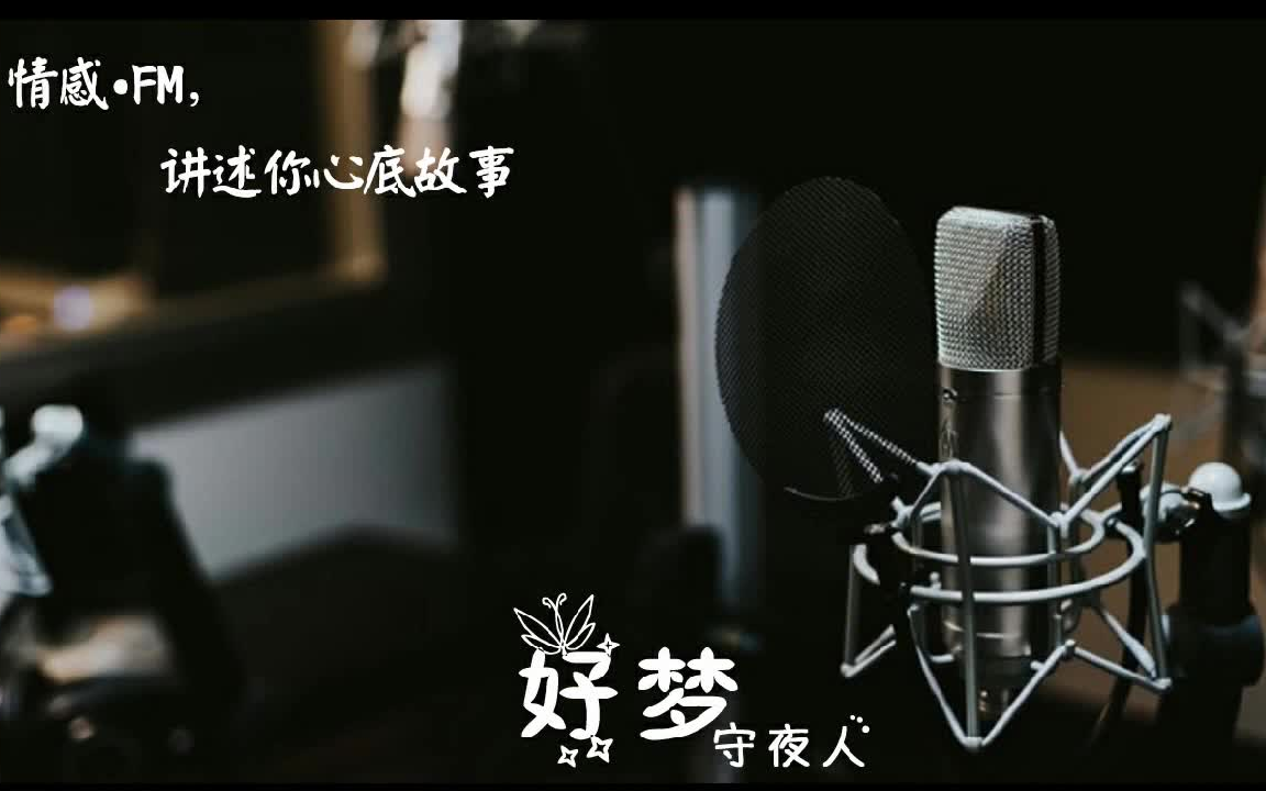 [图]FM 情感电台 [ 别再傻等了 他不爱你 ] 睡前故事 DJ情感故事 音乐故事