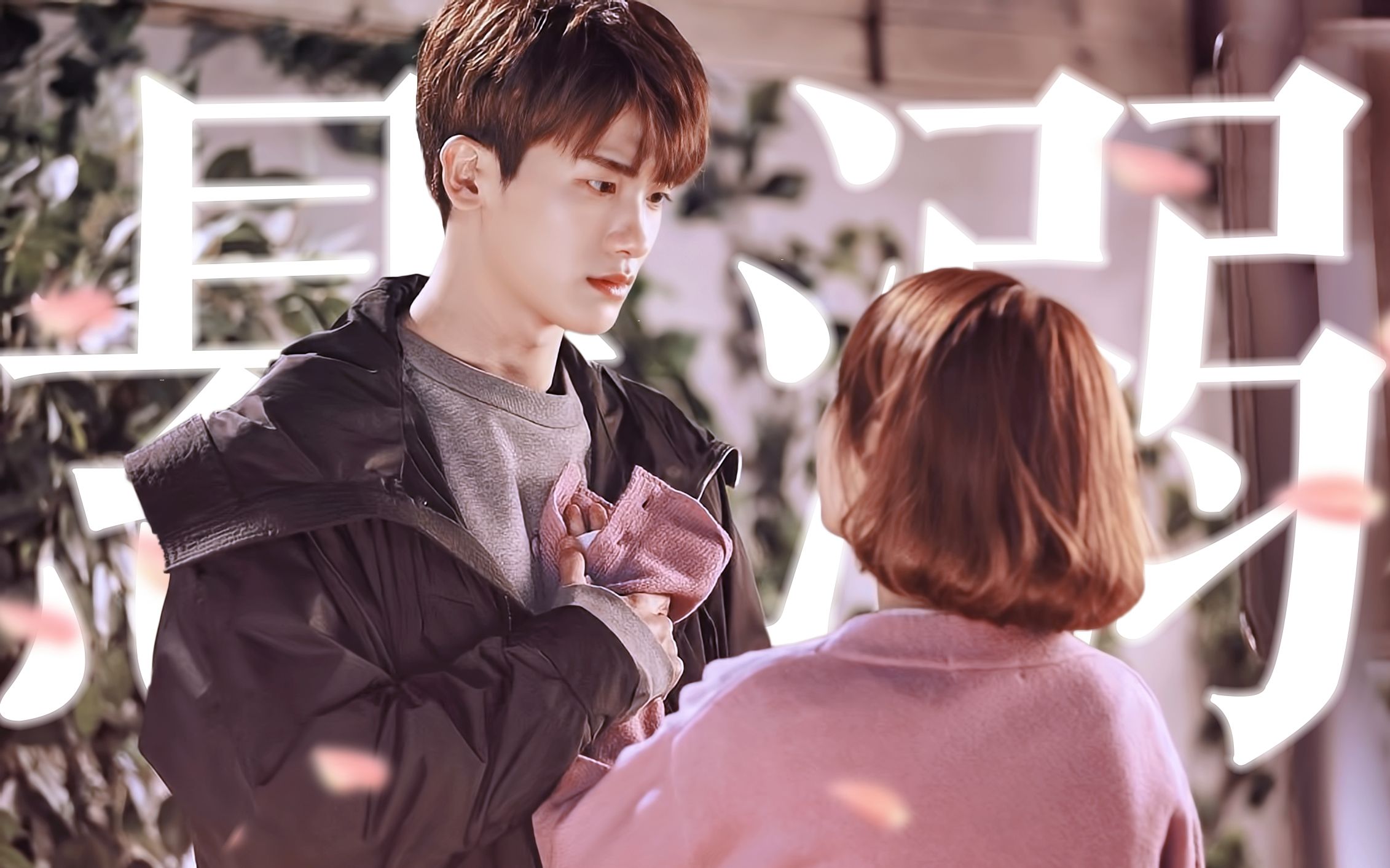 朴炯植安代表是我心目中男主人设天花板丨大力女子都奉顺播出五周年