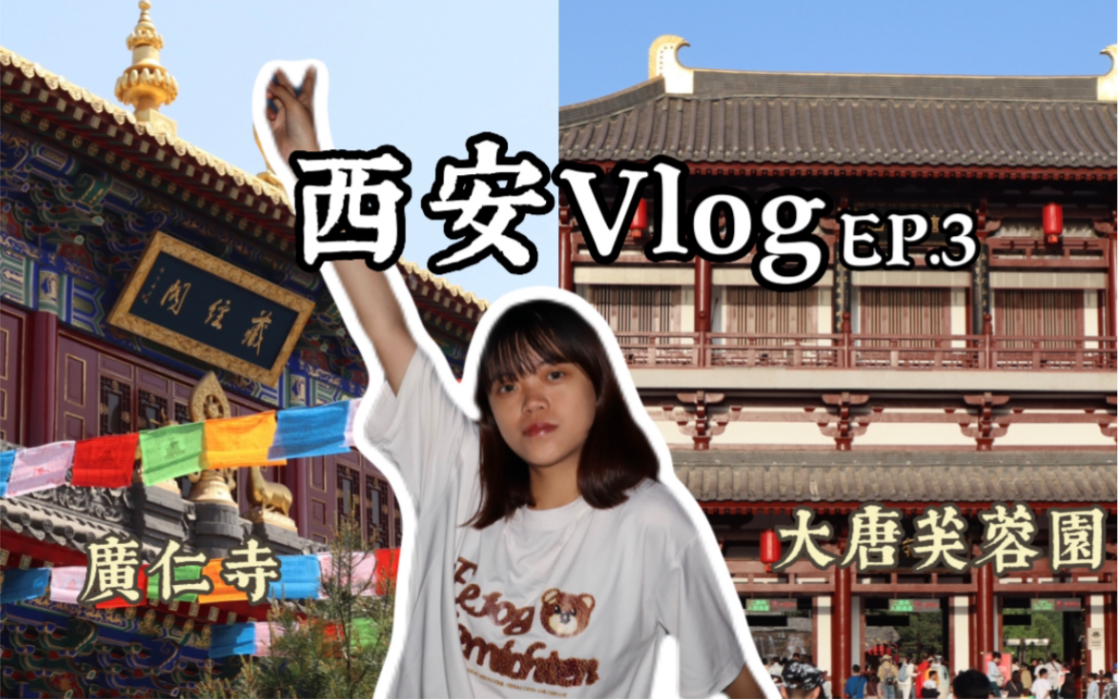 西安Vlog EP.3| 逛西安早市、带你游览大唐芙蓉园、西安不愧是古都名城!哔哩哔哩bilibili