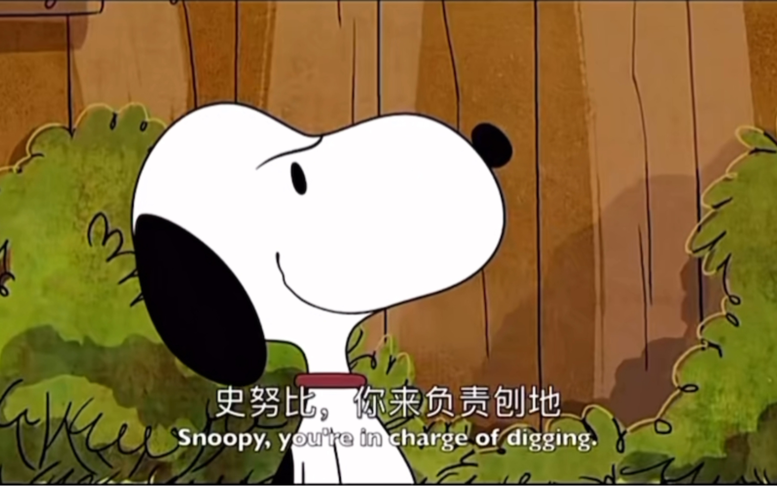 Snoopy|一只会耕田的史努比!好可爱哔哩哔哩bilibili