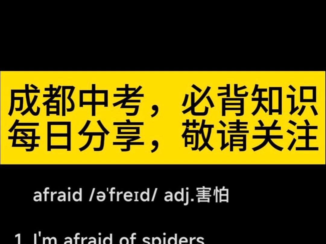 中学单词每日精讲afraid哔哩哔哩bilibili