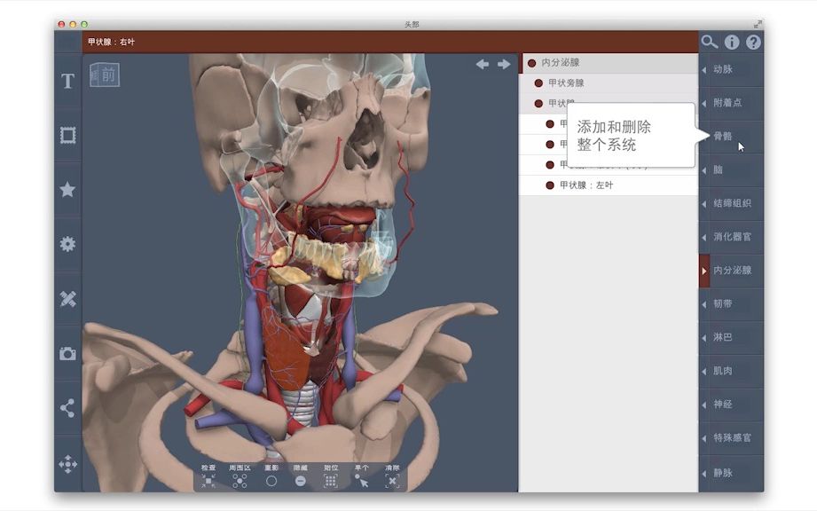 [图]Primal 的 3D 实时人体解剖 新界面和功能