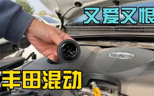 Télécharger la video: 又 爱 又 恨  丰 田 混 动