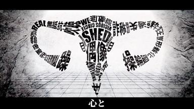 THE BINARY 1st Full Album「Jiu」クロスフェード_哔哩哔哩_bilibili
