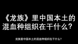 龙族里中国本土的混血种组织在干什么?哔哩哔哩bilibili