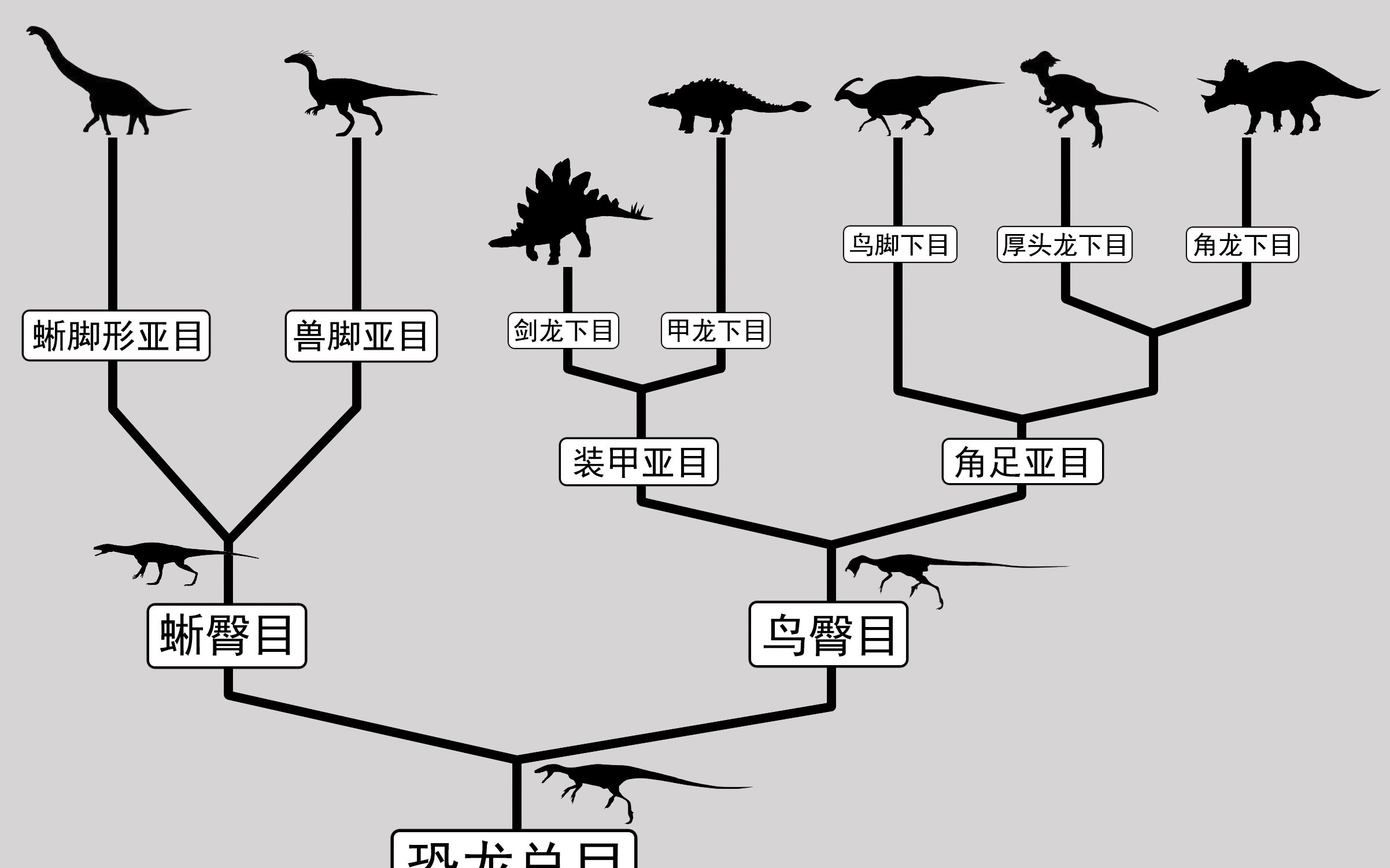 常见恐龙种类介绍图片
