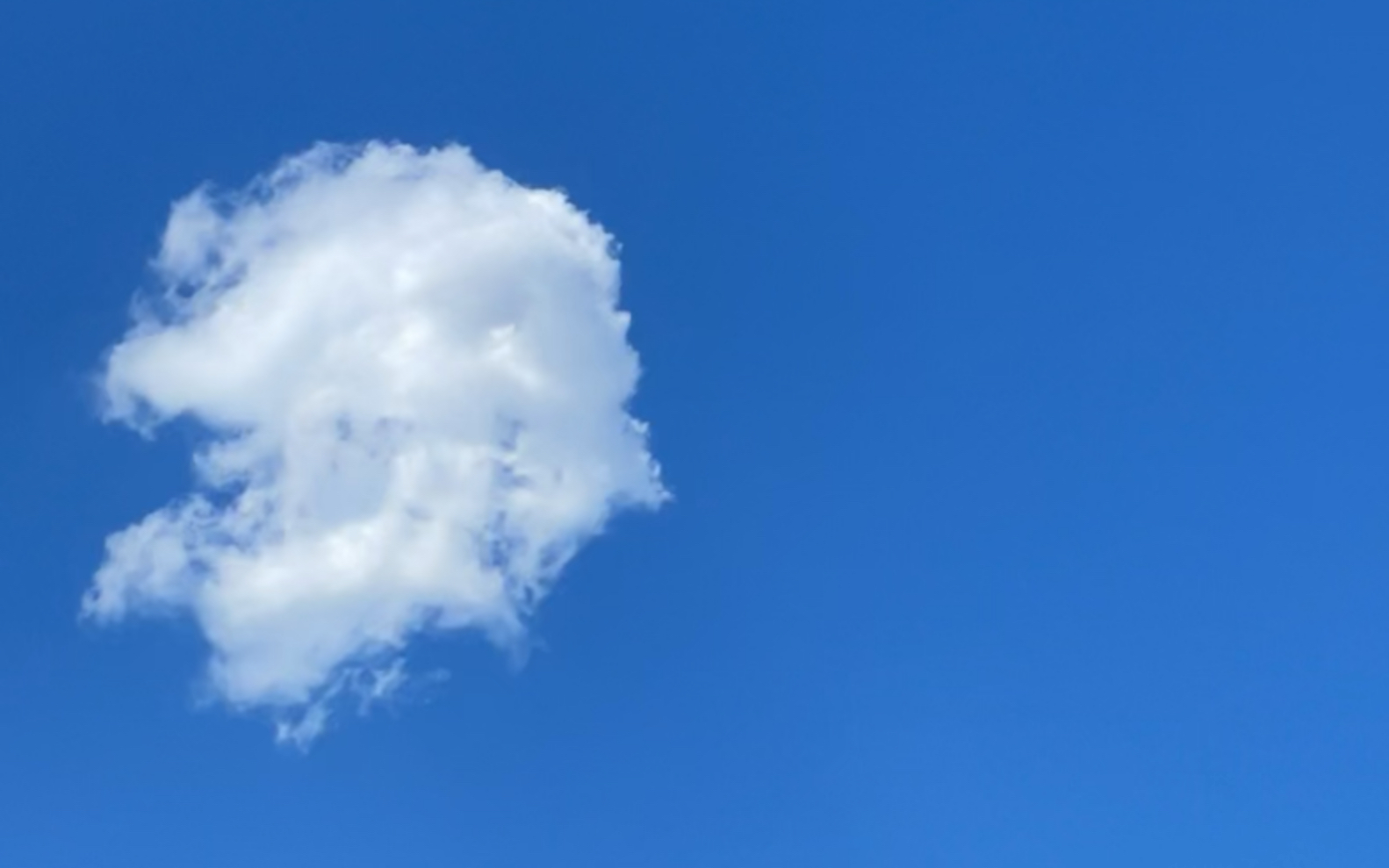 活动  记录一朵云