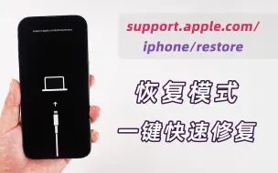 Скачать видео: 苹果手机出现support.apple.com/iphone/restore的 5 个解决方法！