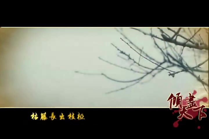 倾尽天下MV(宽坤昊)by玉芷馨哔哩哔哩bilibili