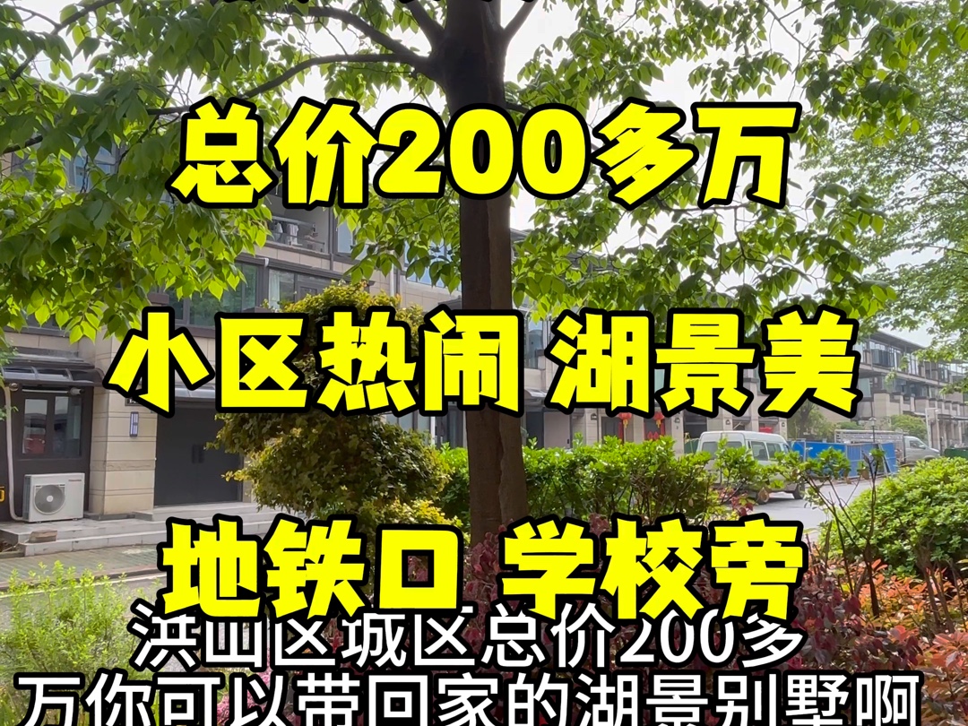 买套别墅吧,总价200多万.小区热闹.湖景美.地铁口,学校旁#武汉别墅哔哩哔哩bilibili