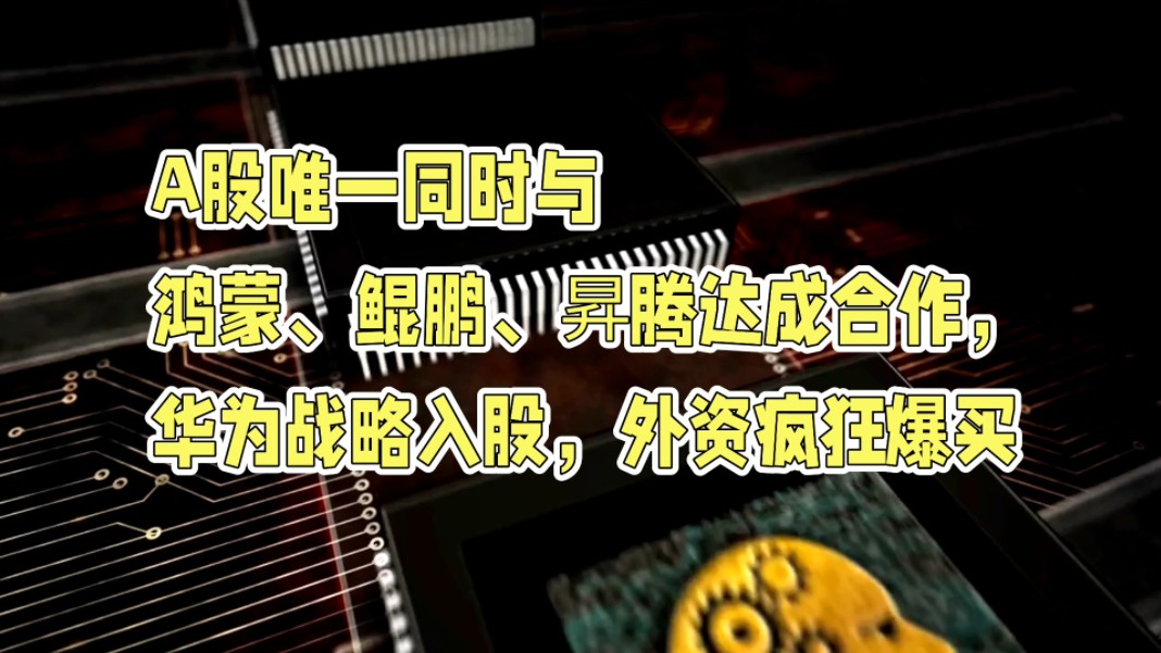 A股唯一同时与鸿蒙、鲲鹏、昇腾达成合作的王者,华为战略入股,外资疯狂爆买!哔哩哔哩bilibili