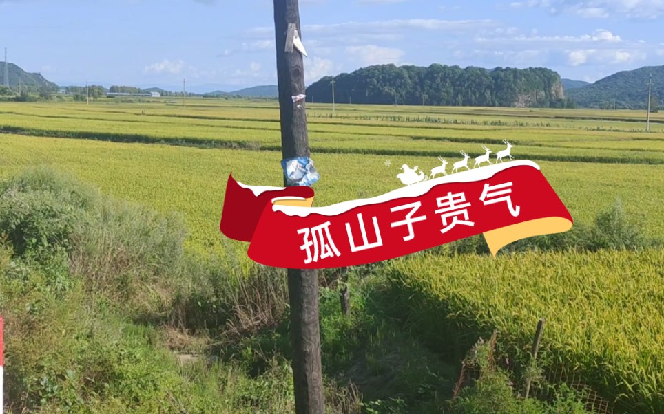 孤山子带贵气!就围着它找地!哔哩哔哩bilibili