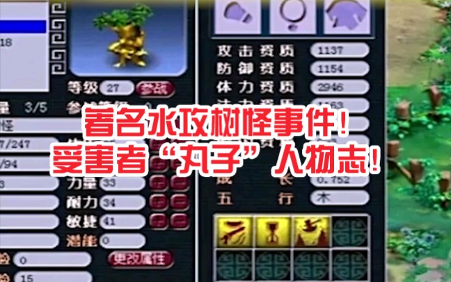 梦幻西游著名水攻树怪事件受害者丸子的故事