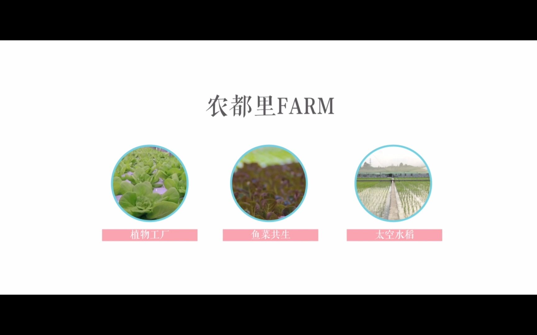 “时尚农业”新概念——“农都里Farm”哔哩哔哩bilibili