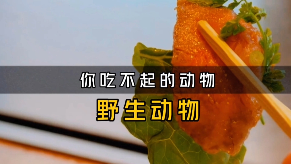 一条鱼被罚125000元,几只麻雀判刑10年零6个月,值吗?哔哩哔哩bilibili