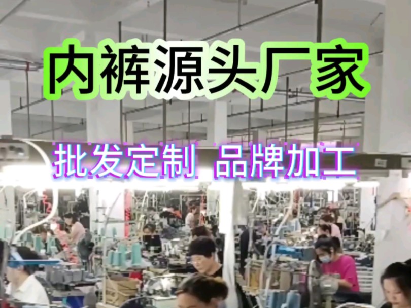 我们是一家专注生产内裤的厂家,有19年的经验,我们致力于为广大朋友们