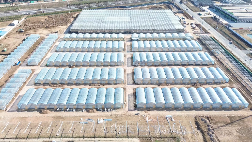 连栋薄膜大棚园区航拍