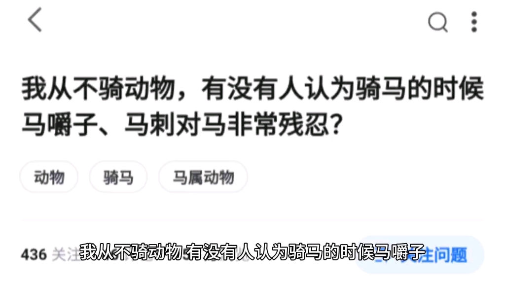 我从不骑动物,有没有人认为骑马的时候马嚼子、马刺对马非常残忍?哔哩哔哩bilibili