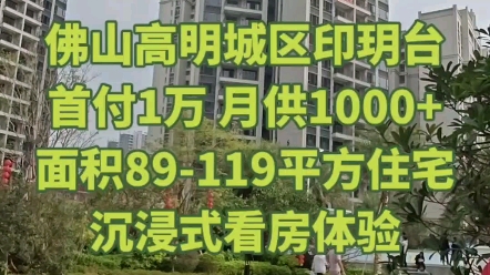 高明印玥台,首付1万 月供1000+,面积89119平方住宅,沉浸式看房体验!#爱情长信印玥台 #佛山房产 #高明房产 #高明一中哔哩哔哩bilibili