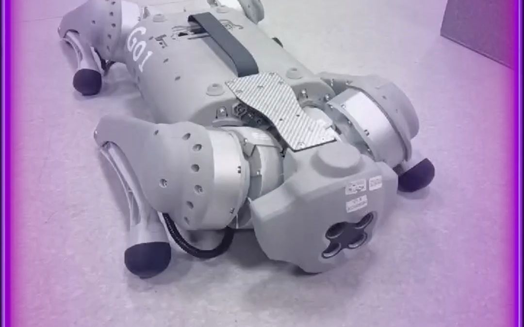 宇树go1机械狗 百度软件杯飞桨小汪赛道 恐龙扛狼