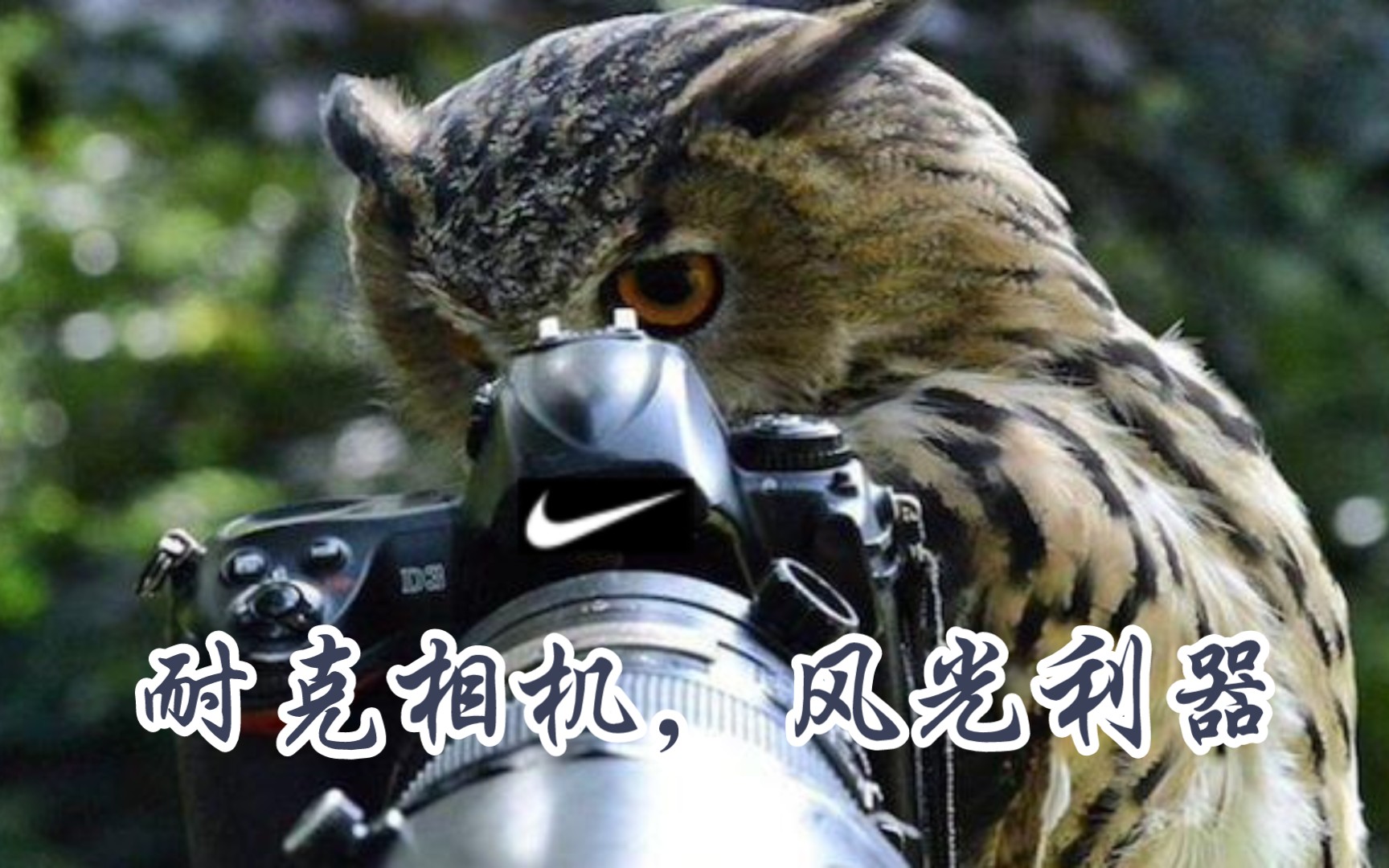 耐克相机,相机中的照相机!