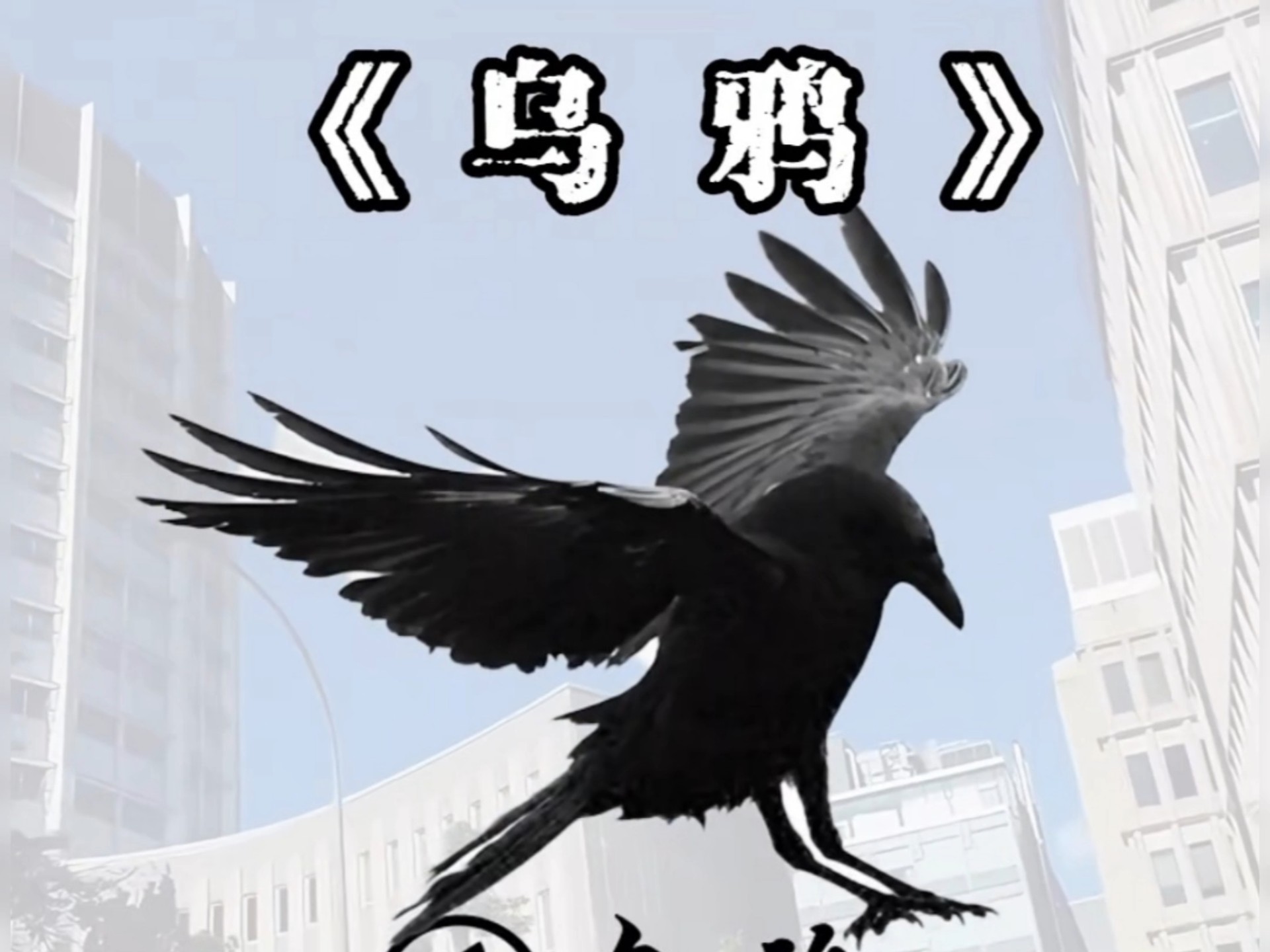 乌鸦搜索引擎=乌鸦搜索引擎下载