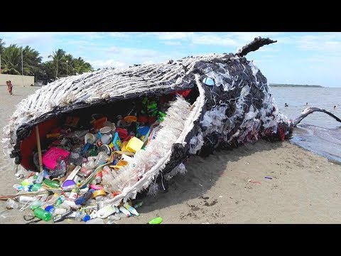 [图]THE APPEARANCE OF THIS WHALE SHOCKED THE WHOLE WORLD!