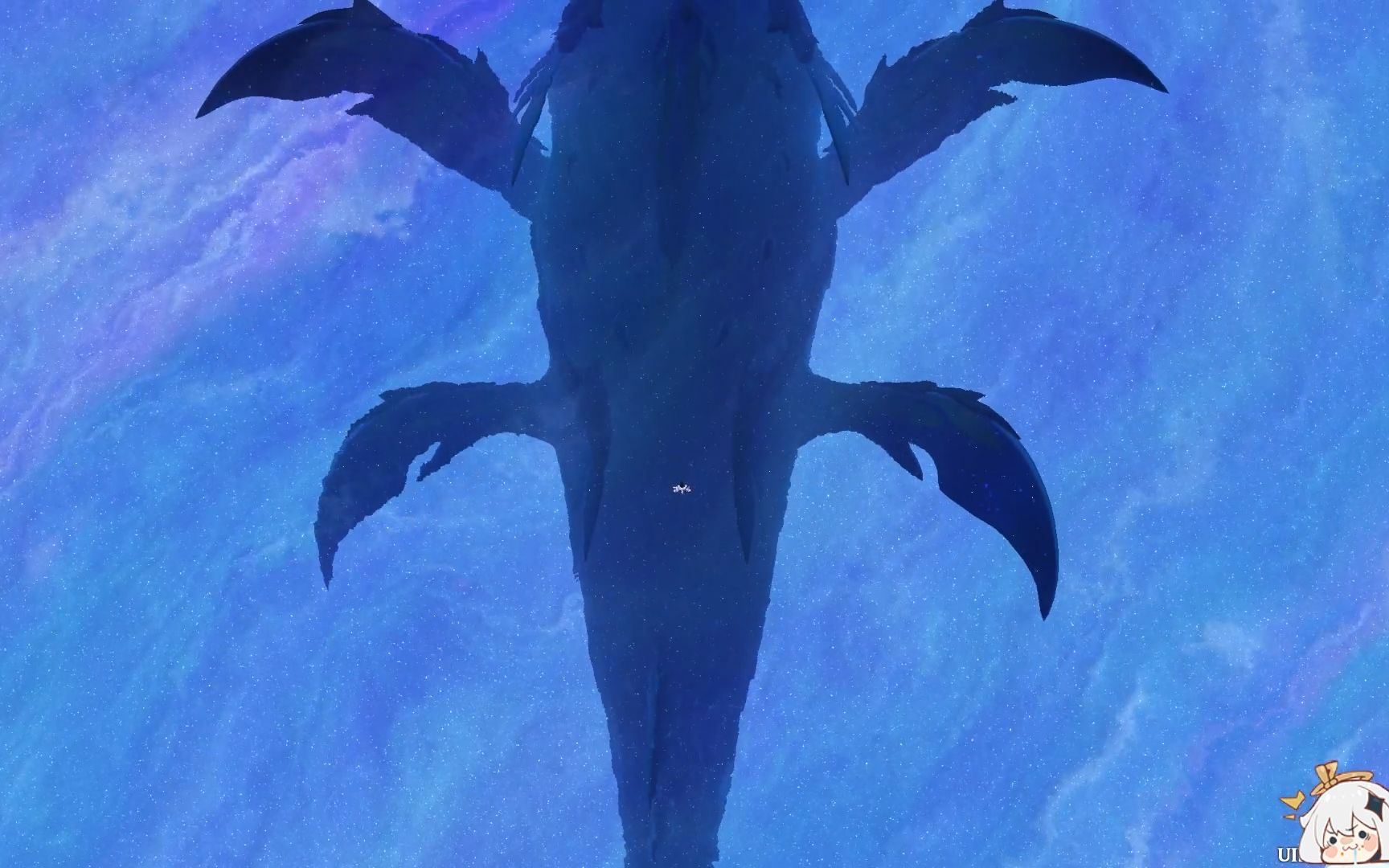 第四大的鲸鱼图片