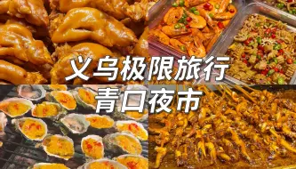 下载视频: 特地坐高铁来品尝义乌青口夜市的美食~~妈呀不负我几百块的高铁票啊~~