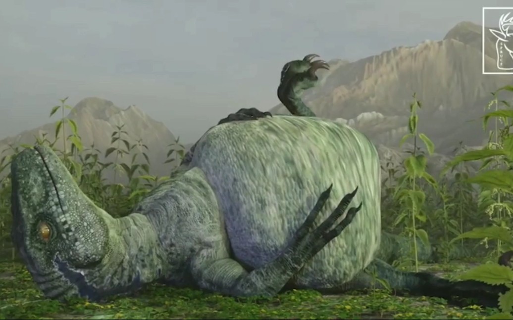 【转载】spruces vore