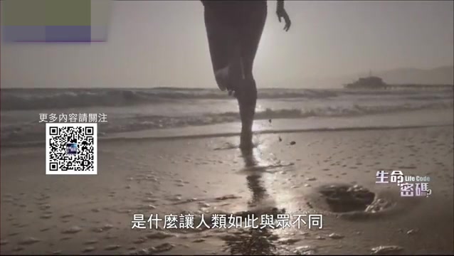 凤凰卫视生命密码栏目《意识的起源》哔哩哔哩bilibili