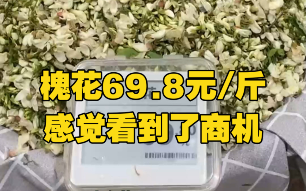 槐花69.8元/斤!感觉看到了商机,在农村免费吃的槐花,在超市这么贵?哔哩哔哩bilibili