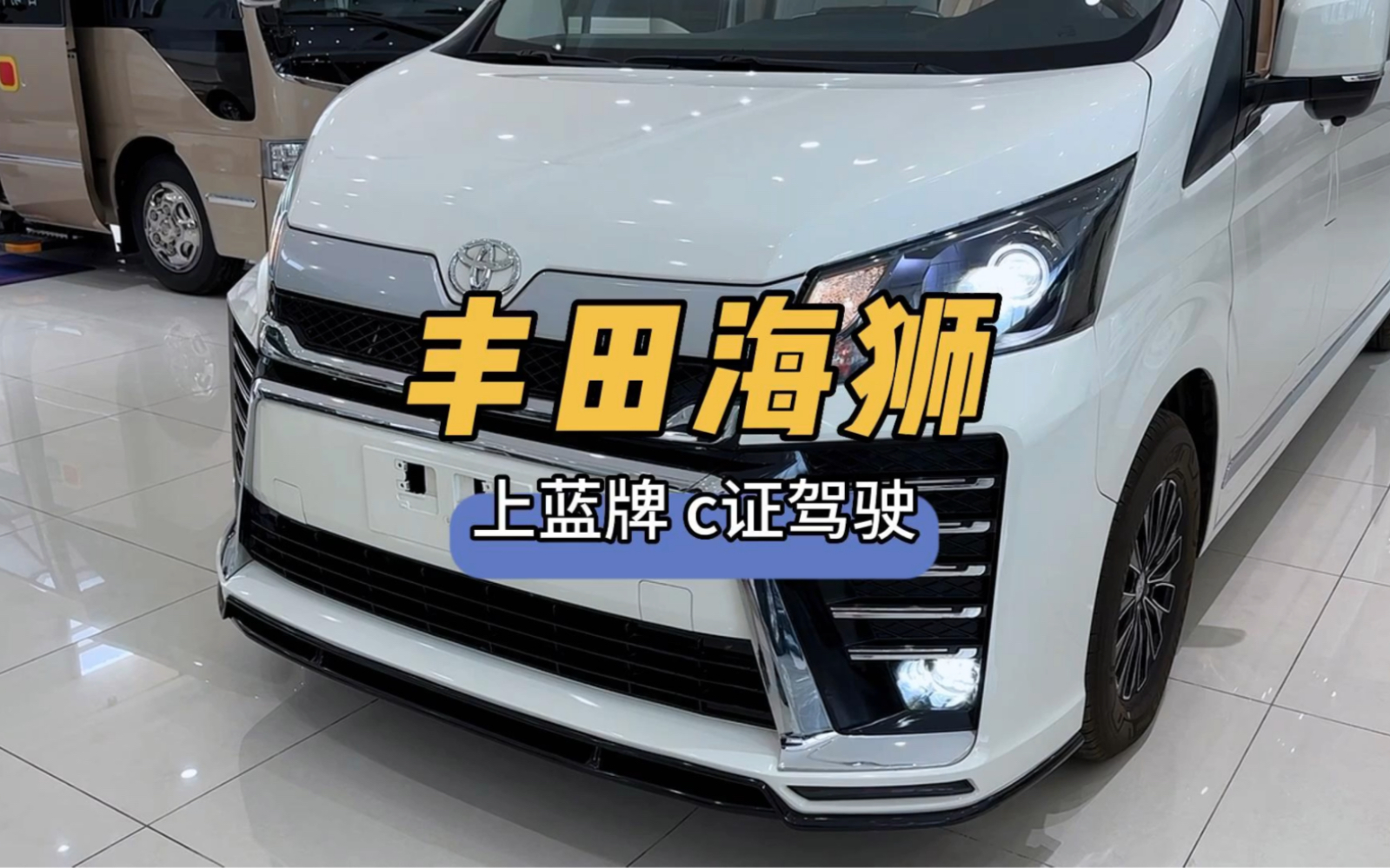 丰田海狮9座蓝牌商务车,宜商又宜家!