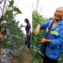 湘妹回乡跟爸爸种菜，用镜头纪录24节气下，西红柿的种植秘籍！