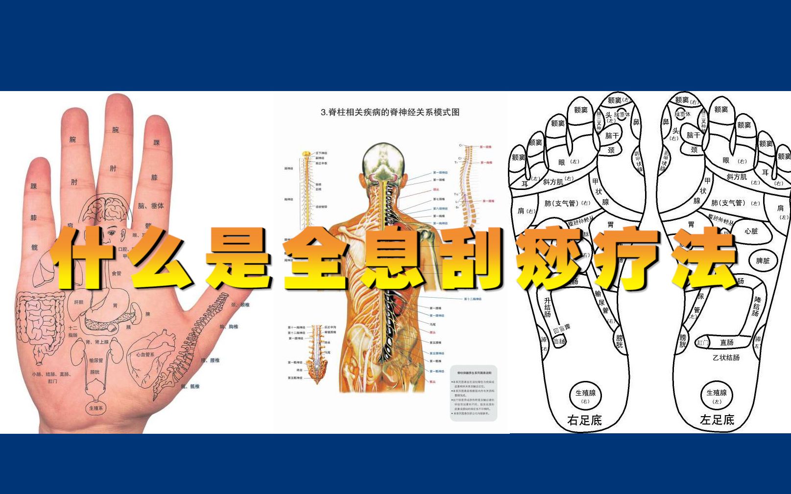 全息是什么意思图片