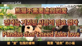 Download Video: 熊猫不需要虚假的爱