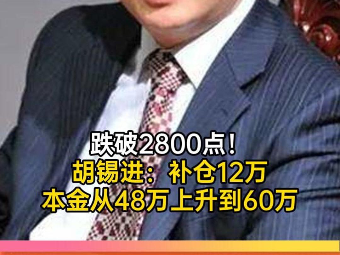 跌破2800点!胡锡进:补仓12万 本金从48万上升到60万哔哩哔哩bilibili