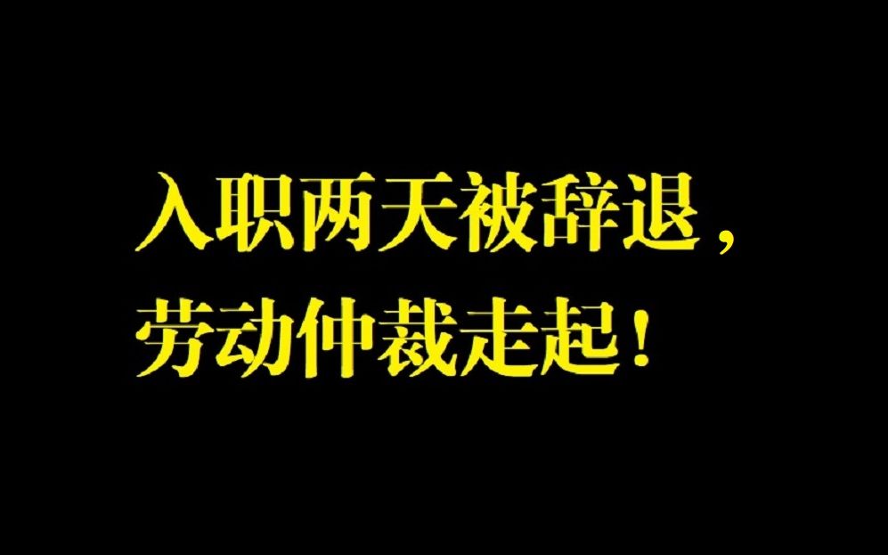 入职两天被辞退,我让公司付出了多大代价——童润中2023.7哔哩哔哩bilibili