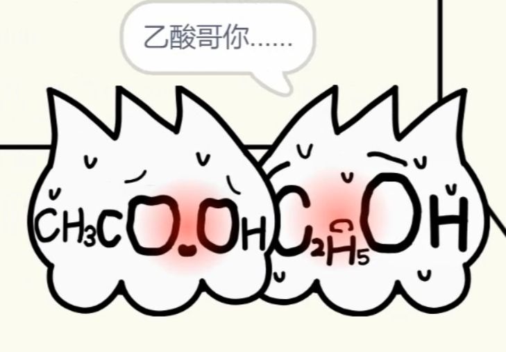 乙酸乙酯:我从哪儿来?硫酸:请看VCR𐟘ˆ哔哩哔哩bilibili