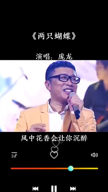 庞龙经典歌曲《两只蝴蝶》前奏响起,多少80,90后的青春回忆…哔哩哔哩bilibili