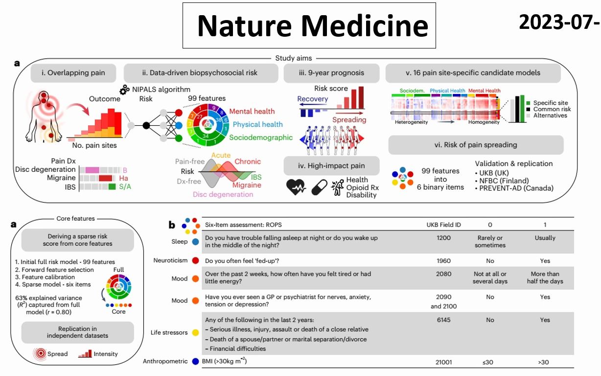 Nature Medicine—科学家成功开发了一个慢性疼痛的预后评分模型哔哩哔哩bilibili