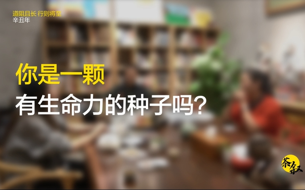 【茶叙】你是一颗有生命力的种子吗?哔哩哔哩bilibili