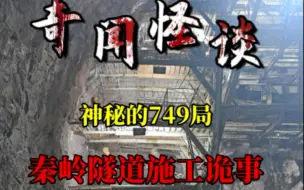 下载视频: 749局处理秦岭隧道诡异事件