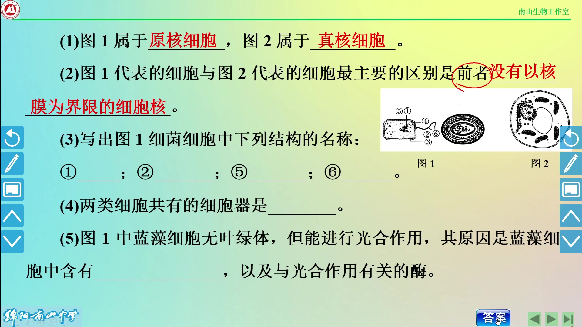 高二 生物 原核细胞 南山中学 李晓明哔哩哔哩bilibili