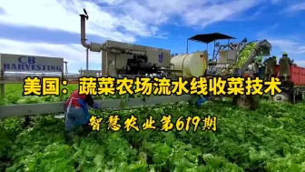 Tải video: 美国：加州蔬菜农场流水线收菜技术