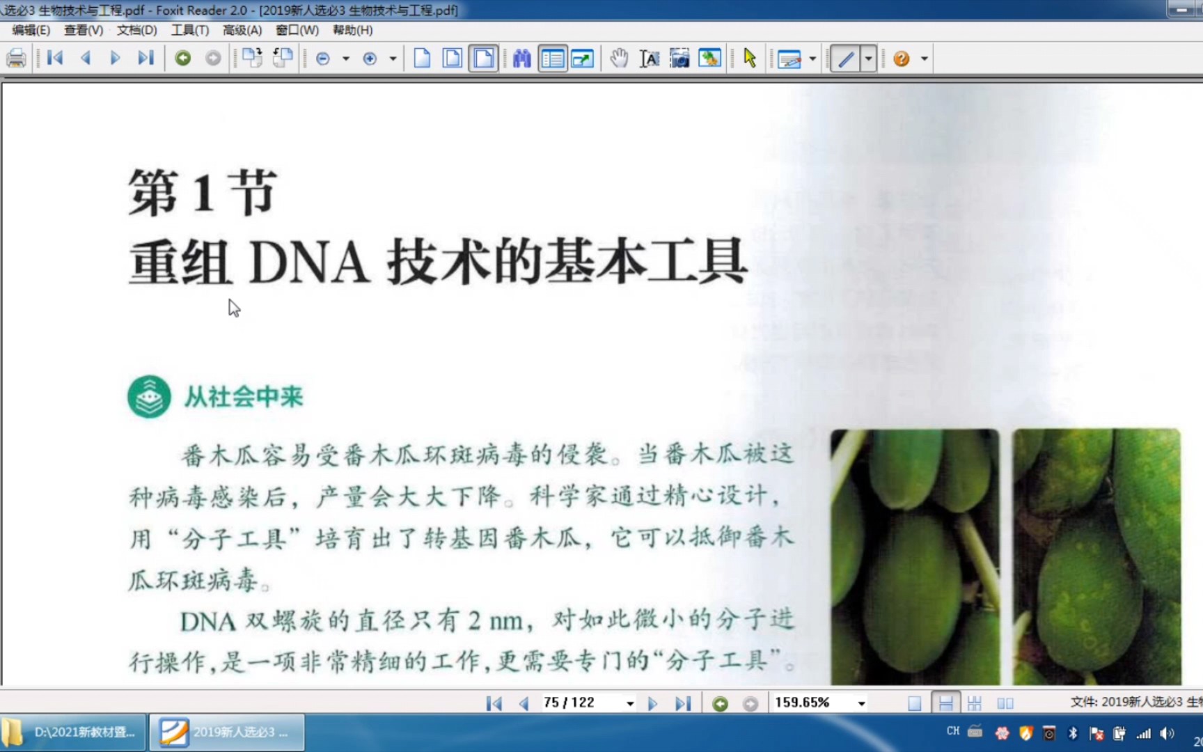 2019人教版高中生物选择性必修三基因工程重组DNA技术的基本工具哔哩哔哩bilibili