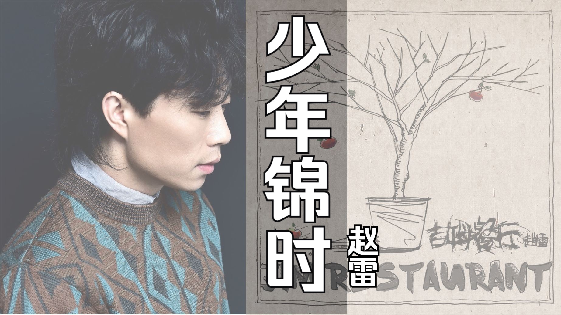 "光阴似箭催人老 日月如梭趱少年"|赵雷《少年锦时》【hi-res】