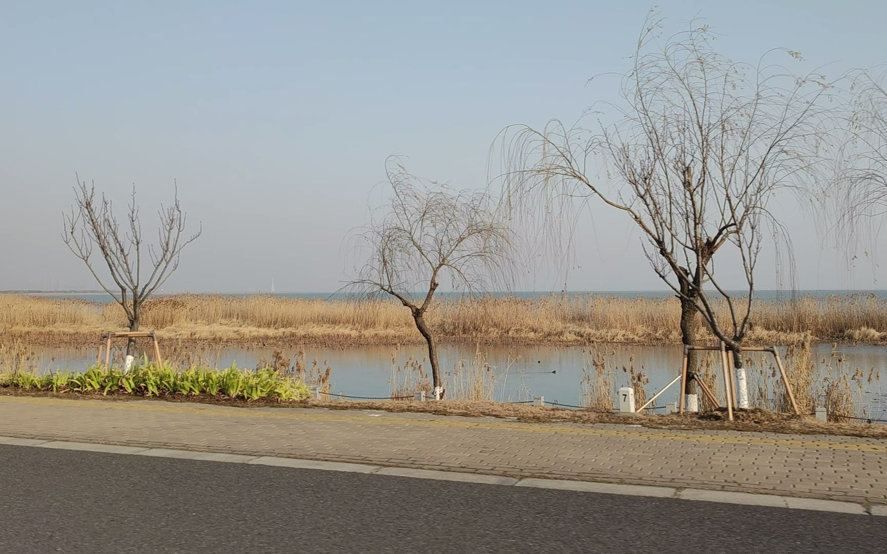 冬天的苏州东太湖6